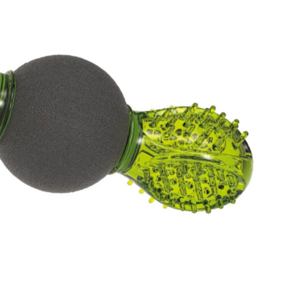 M Pets Uranus Toy for Dogs (Green/Black)