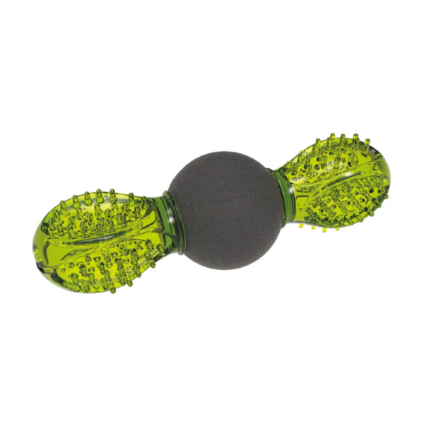 M Pets Uranus Toy for Dogs (Green/Black)
