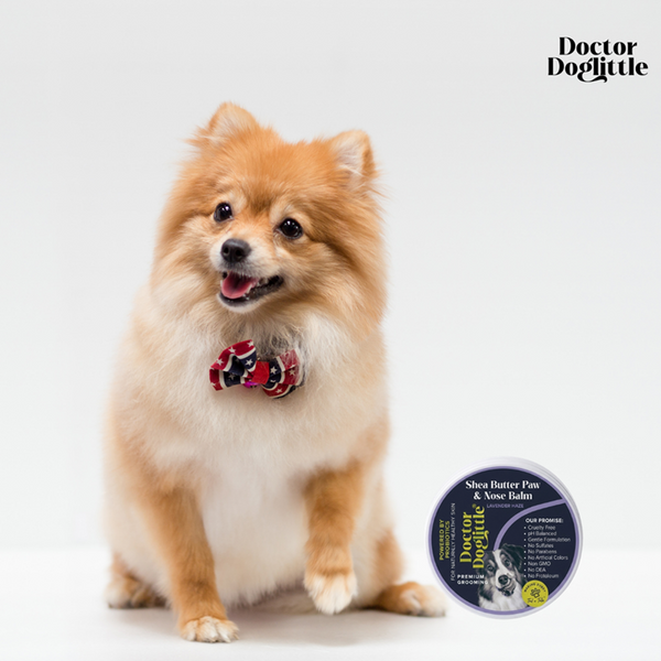 Doctor Doglittle Probiotic Shea Butter Paw & Nose Balm for Dogs