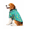 Pawgypets Fruity Casual Shirt for Dogs (Green) Dogs-Clothing & Accessories Pawgypets Dropship