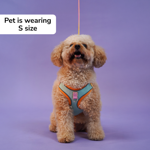 Skatrs Everyday Ready Harness & Leash Set for Small Breed Dogs & Cats (Green) Both-Collar, Leashes, harnesses Skatrs