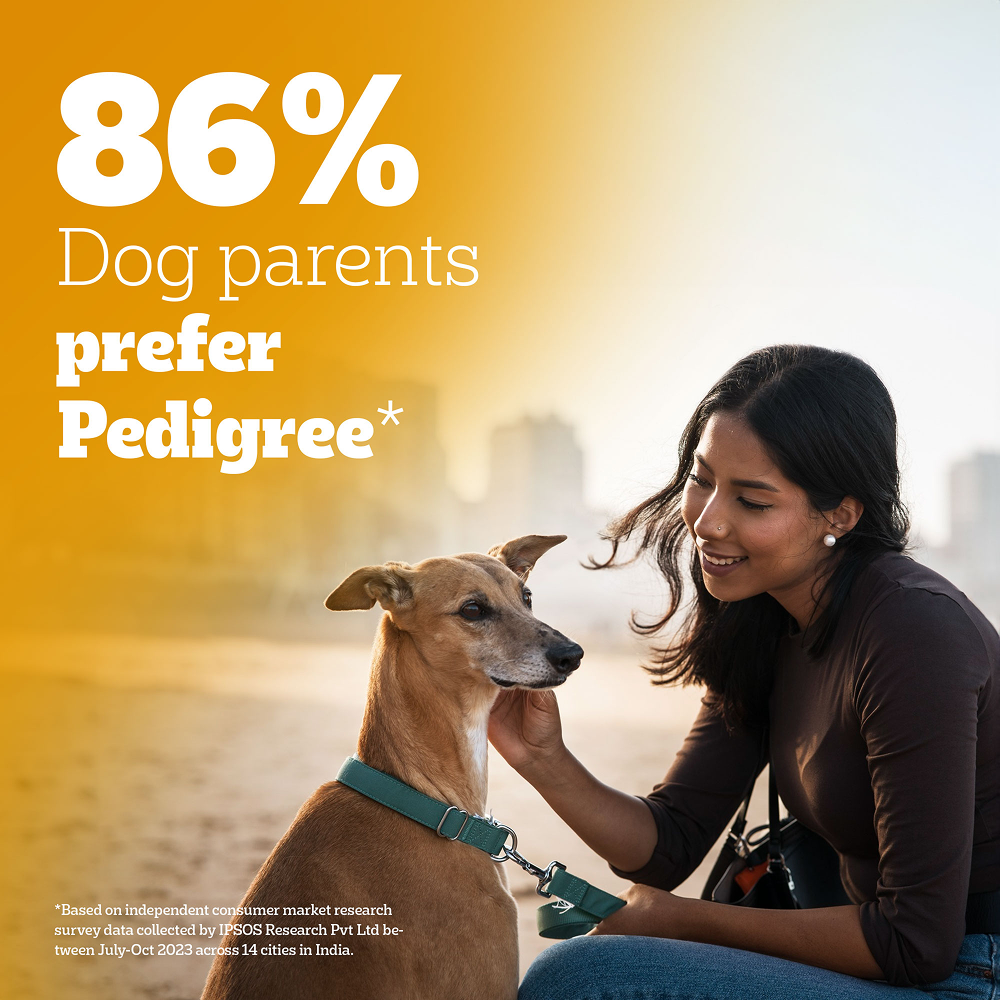 Pedigree Meat & Rice Adult Dog Dry Food