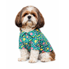 Pawgypets Fruity Casual Shirt for Dogs (Green) Dogs-Clothing & Accessories Pawgypets Dropship XXS