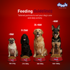 Drools Lamb and Rice Adult Dog Dry Food Dogs- Dry Food Drools