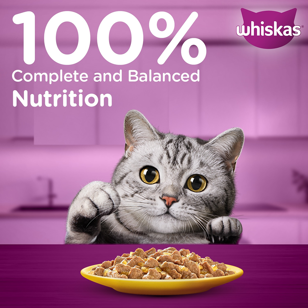 Whiskas Chicken in Gravy Adult Cat Wet Food Cats-Wet Food Whiskas