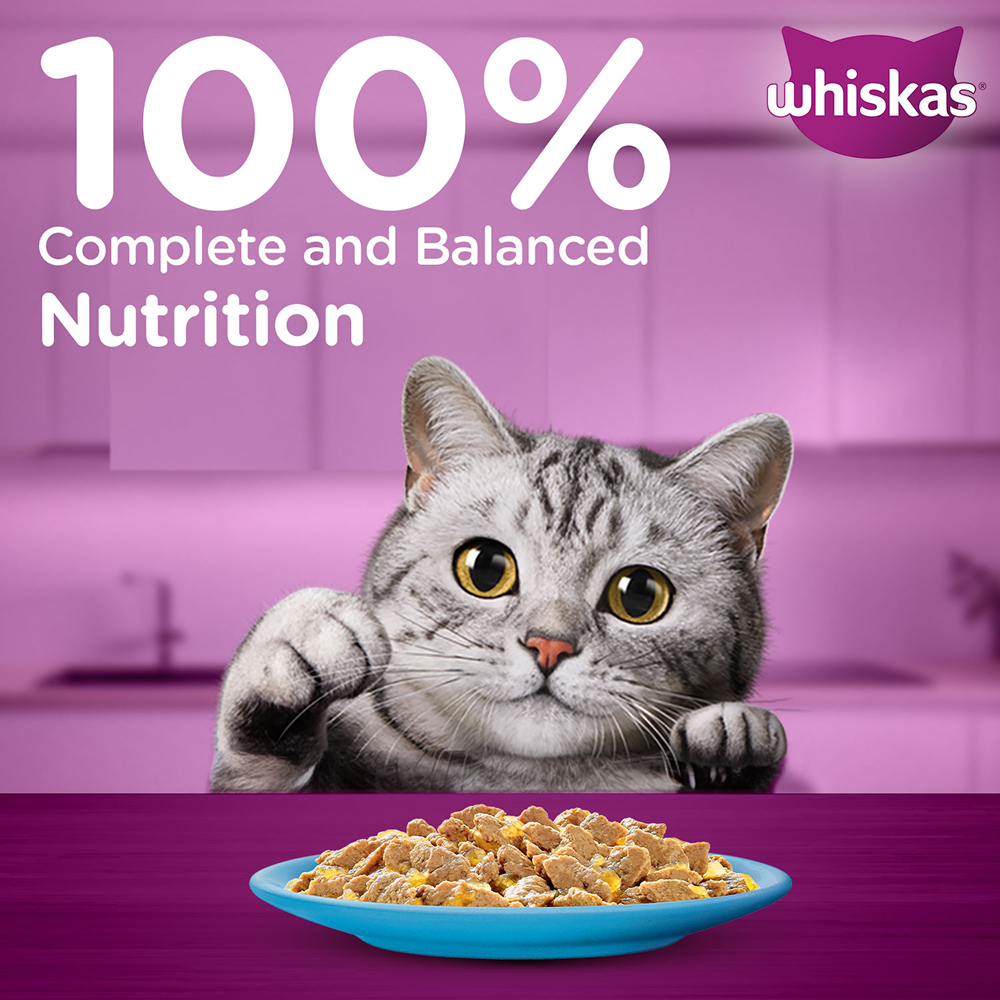 Whiskas Tuna in Jelly Meal Adult Cat Wet Food Cats-Wet Food Whiskas