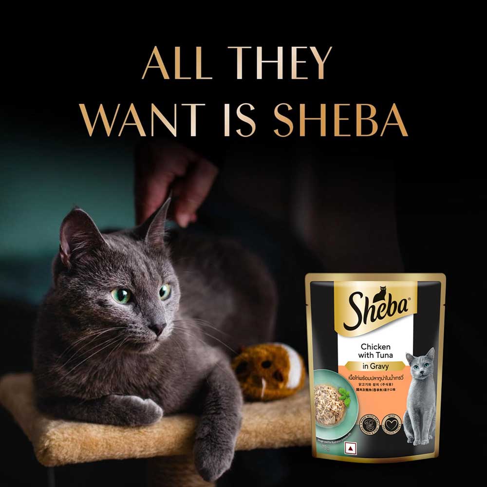Sheba Chicken With Tuna In Gravy Rich Premium Adult Fine Cat Wet Food Cats-Wet Food Sheba