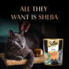 Sheba Chicken With Tuna In Gravy Rich Premium Adult Fine Cat Wet Food Cats-Wet Food Sheba