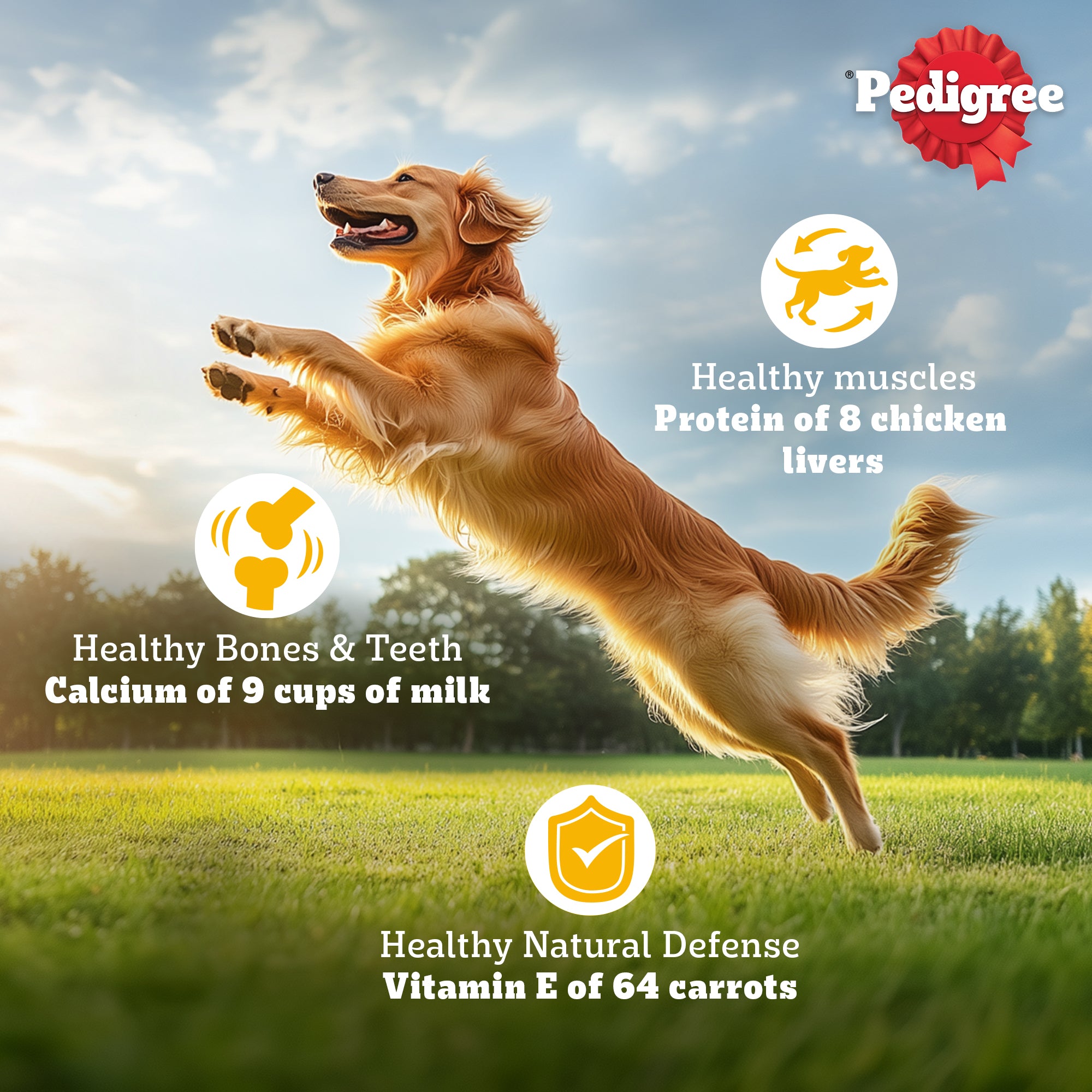Pedigree Chicken and Vegetables Adult Dry Dog Food Dogs- Dry Food Pedigree