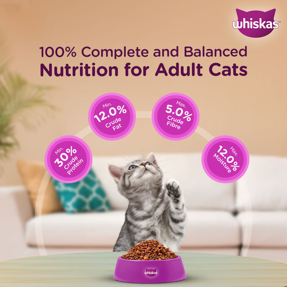 Whiskas Mackerel Flavour Kitten (2 to 12 months)Cat Dry Food