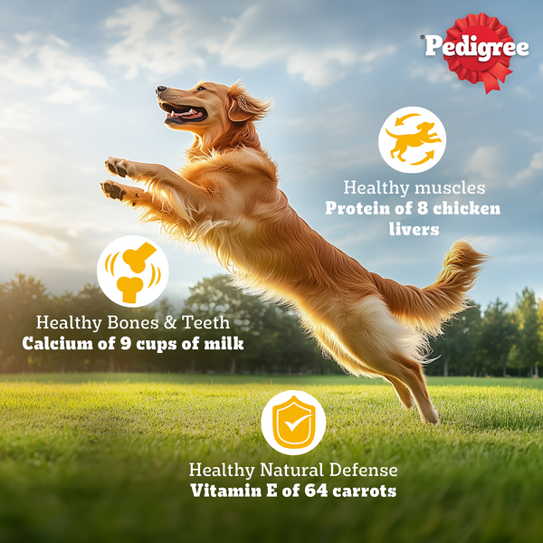 Pedigree Chicken, Egg and Rice Adult Dog Dry Food