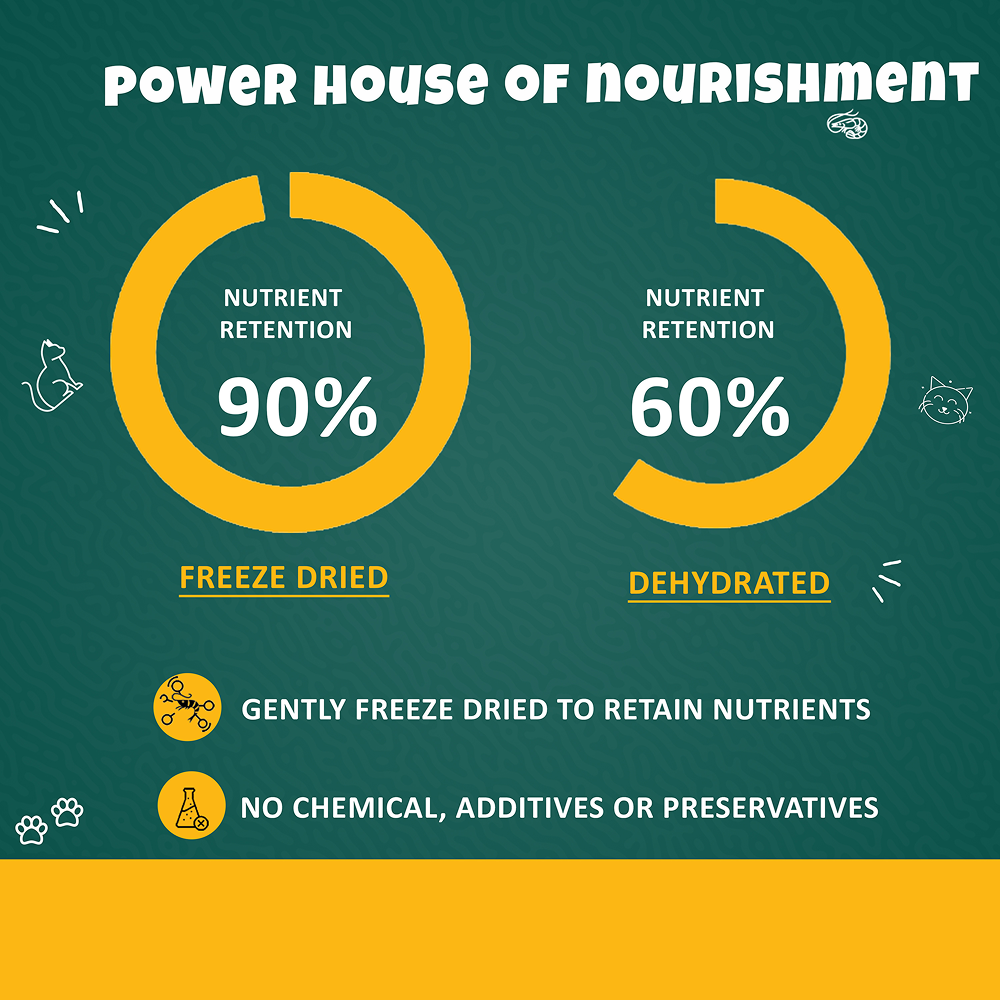 Goofy Tails Freeze Dried Shrimp Cat Treats Cats-Treats & Others Goofy Tails