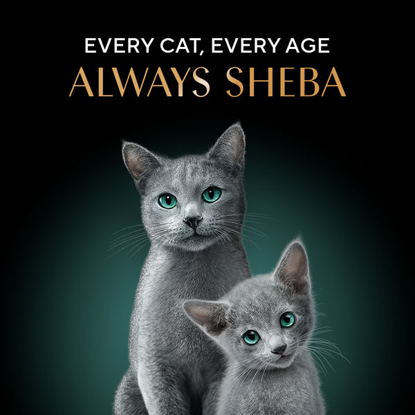 Sheba Dulex Complete Nutrition Tuna Flakes & Salmon In Gravy Cat Wet Food