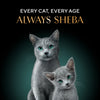 Sheba Dulex Complete Nutrition Tuna Flakes & Salmon In Gravy Cat Wet Food Cats-Wet Food Sheba
