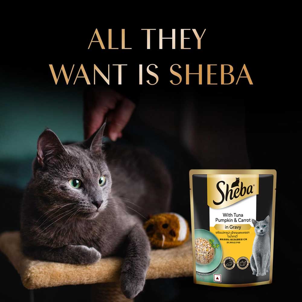 Sheba Tuna Pumpkin & Carrot In Gravy Rich Premium Adult Fine Cat Wet Food Cats-Wet Food Sheba