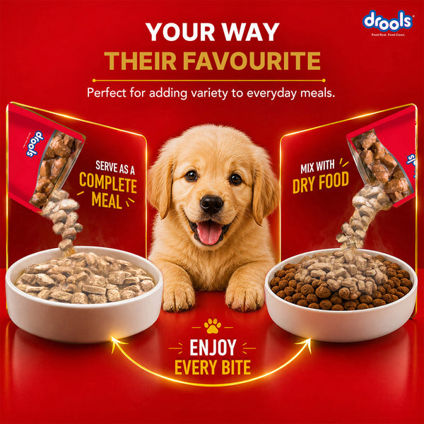 Drools Real Chicken & Chicken Liver Chunks in Gravy Puppy Dog Wet Food