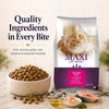 Maxi Adult Ocean Fish Adult Dry Cat Food Cats- Dry food Maxi Adult