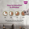 Whiskas Chicken in Gravy Meal Kitten Wet Food Cats-Wet Food Whiskas