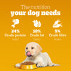 Pedigree Meat & Milk Puppy Dog Dry Food Dogs- Dry Food Pedigree