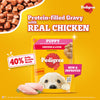Pedigree Chicken & Liver Chunks in Gravy Puppy Wet Dog Food Dogs-Wet Food Pedigree