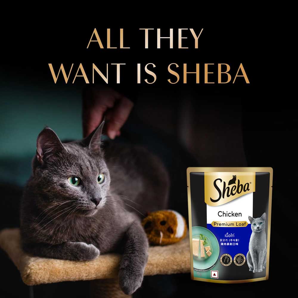 Sheba Chicken Loaf Rich Premium Adult Fine Cat Wet Food Cats-Wet Food Sheba