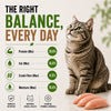 Signature Grain Zero Chicken & Vegetable Adult Cat Dry Food For All Breed Cats- Dry food Signature