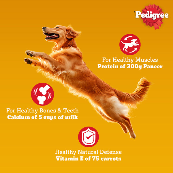 Pedigree 100% Vegetarian Adult Veg Dog Dry Food