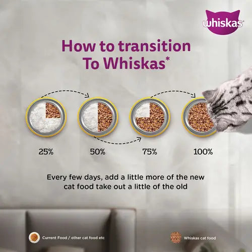 Sheba Tuna Pumpkin & Carrot In Gravy and Whiskas Tuna in Jelly Cat Wet Food Combo Exclusive Combo Exclusive Combo
