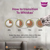 Sheba Tuna Pumpkin & Carrot In Gravy and Whiskas Tuna in Jelly Cat Wet Food Combo Exclusive Combo Exclusive Combo