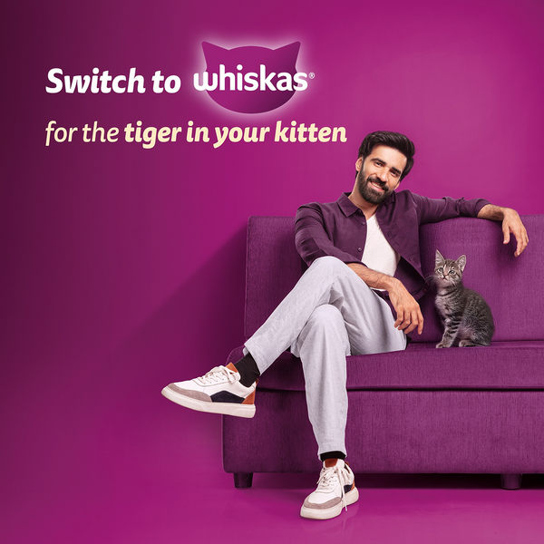 Whiskas Mackerel Flavour Kitten (2 to 12 months)Cat Dry Food