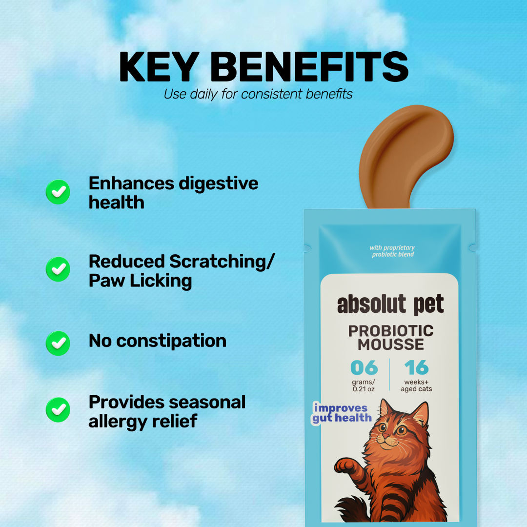 Absolut Pet Probiotics Gut Health Creamy Supplements for Cats Cats-Health & Wellness Absolut Pet