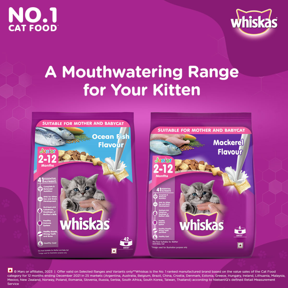 Whiskas Ocean Fish and Tuna in Jelly Kitten Dry and Wet Food Combo