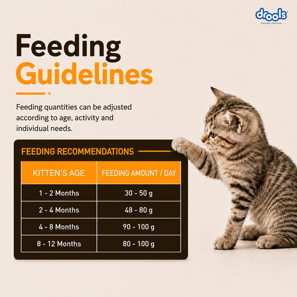 Drools Real Chicken Kitten Dry Food