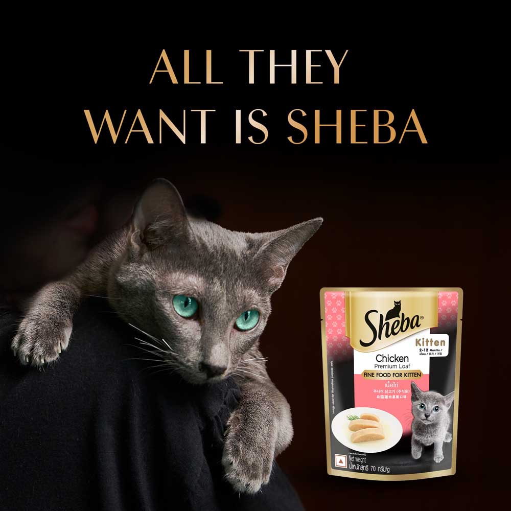 Sheba Chicken Loaf Rich Premium Kitten (2 to 12 Months) Fine Cat Wet Food Cats-Wet Food Sheba