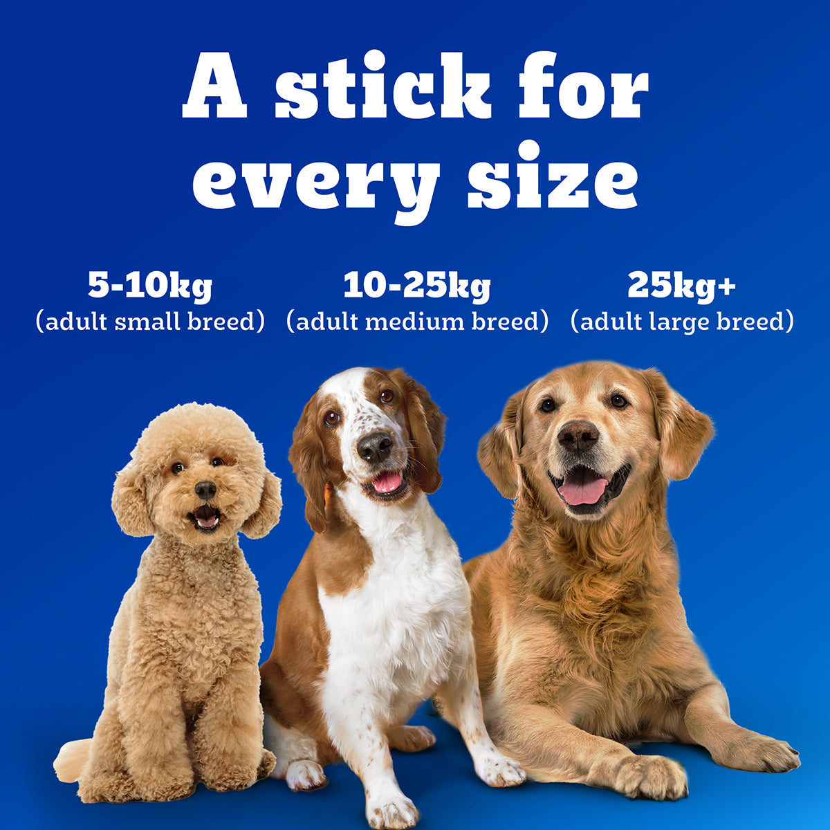 Pedigree Dentastix Oral Care for Adult (Medium Breed of 10 to 25 kg) Dog Treats