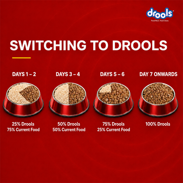 Drools Chicken and Egg Puppy Dog Dry Food