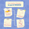 Smylo Kitten Chicken Tuna & Rosemary, Fresh & No-Preservative Wet Cat Food Cats-Wet Food Smylo
