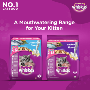 Whiskas Ocean Fish and Tuna in Jelly Kitten Dry and Wet Food Combo