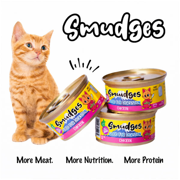 Smudges Chicken Shredded in Gravy Kitten Wet Food