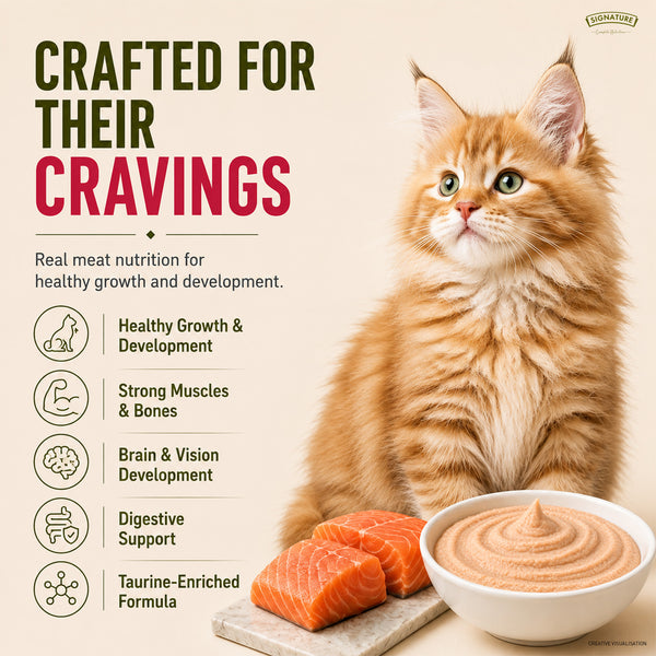 Signature Grain Zero Salmon Mousse Kitten Cat Wet Food