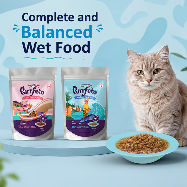 Purrfeto Ocean Fish in Gravy Adult Cat Wet Food