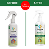 Zoivane Pets Odour Eliminator for Dogs and Cats Both-Health & Wellness Zoivane