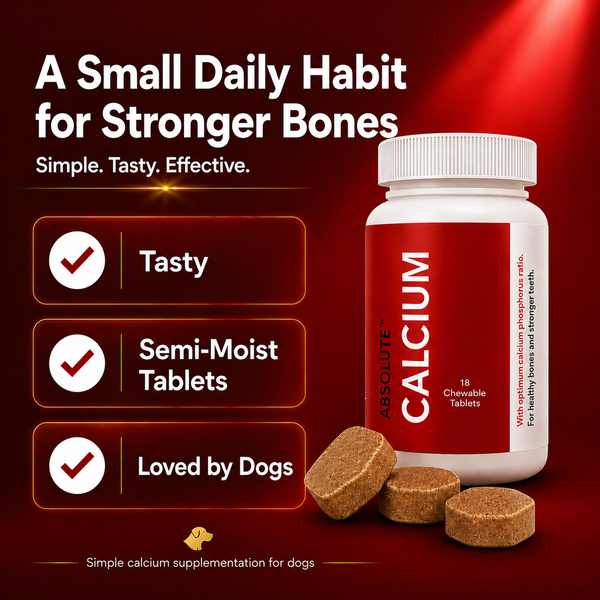 Drools Absolute Calcium Dog Supplement Tablets
