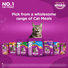 Whiskas Ocean Fish and Tuna Flavour Adult Cat Dry Food Combo Cats- Dry food Whiskas