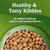 Purina Friskies Chicken Small Breed Adult Dog Food Dogs- Dry Food Friskies