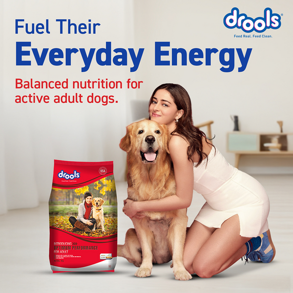 Drools Optimum Performance Adult Dog Dry Food