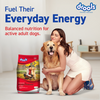 Drools Optimum Performance Adult Dog Dry Food Dogs- Dry Food Drools