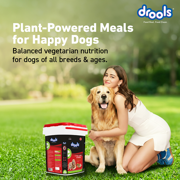 Drools 100% Vegetarian Puppy and Adult Dog Veg Dry Food (All Life Stages)