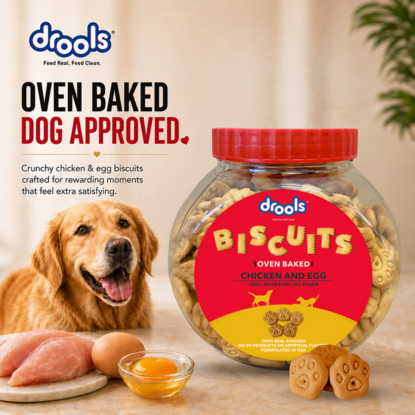 Drools Chicken and Egg Biscuit Dog Treats