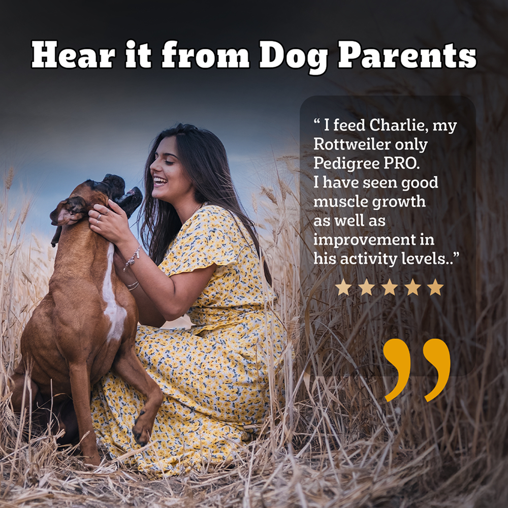 Pedigree PRO Expert Nutrition Active Adult (18 Months Onwards) Large Breed Dog Dry Food Dogs- Dry Food Pedigree PRO